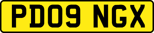 PD09NGX
