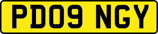 PD09NGY