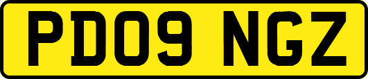 PD09NGZ