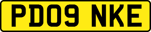 PD09NKE