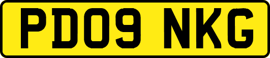 PD09NKG