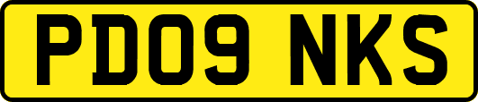 PD09NKS