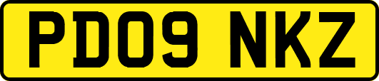 PD09NKZ