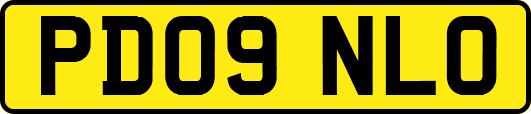 PD09NLO