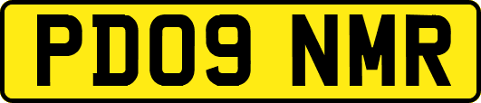 PD09NMR