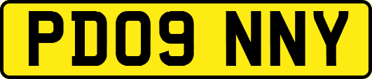 PD09NNY