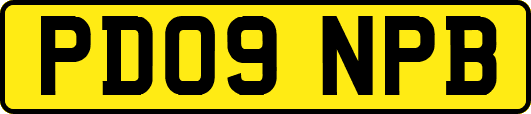 PD09NPB