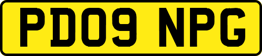 PD09NPG