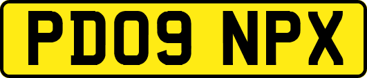 PD09NPX