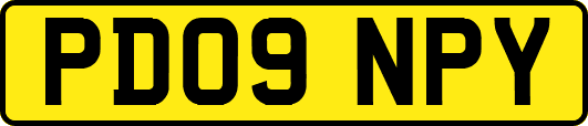 PD09NPY