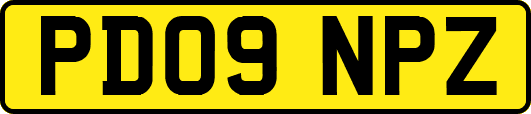 PD09NPZ