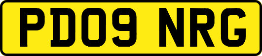 PD09NRG