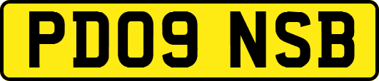 PD09NSB