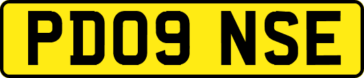 PD09NSE