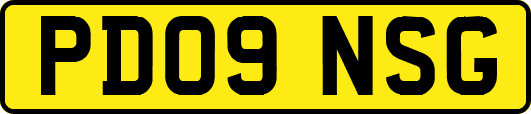PD09NSG
