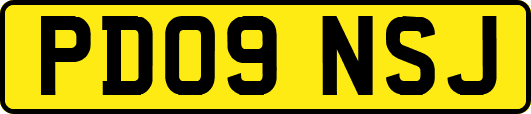 PD09NSJ