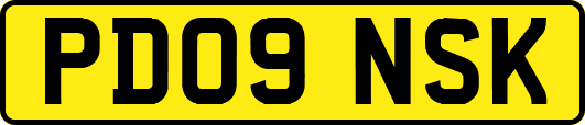 PD09NSK