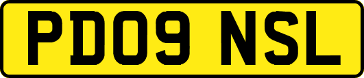 PD09NSL