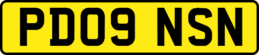 PD09NSN