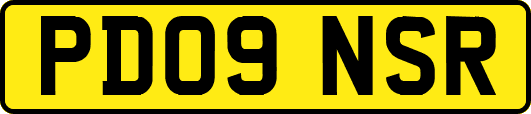 PD09NSR