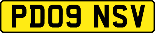 PD09NSV