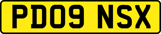 PD09NSX