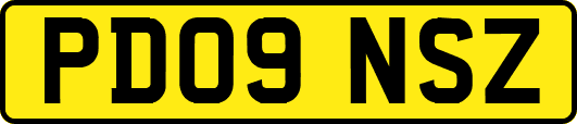 PD09NSZ