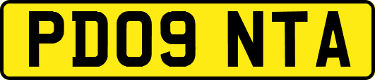 PD09NTA