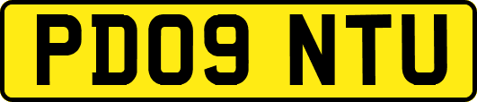 PD09NTU