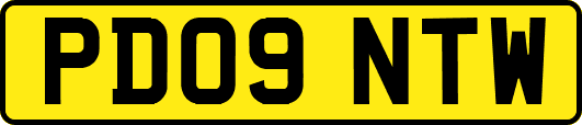 PD09NTW