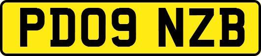 PD09NZB