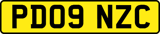 PD09NZC