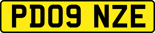 PD09NZE