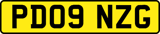 PD09NZG