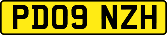 PD09NZH
