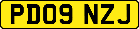 PD09NZJ