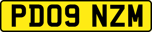 PD09NZM