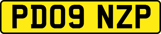 PD09NZP