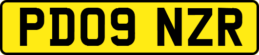 PD09NZR