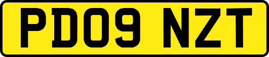 PD09NZT