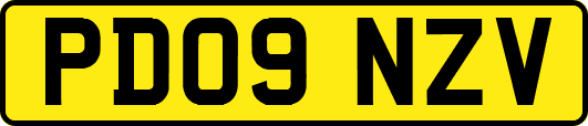 PD09NZV