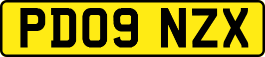 PD09NZX