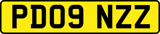 PD09NZZ