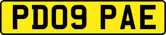 PD09PAE