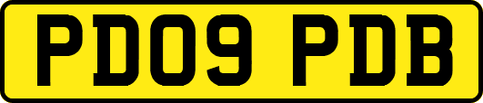 PD09PDB