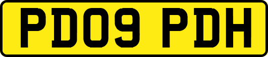 PD09PDH