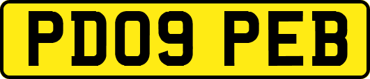 PD09PEB