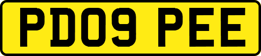 PD09PEE