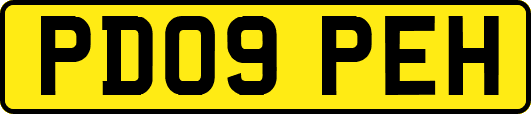 PD09PEH