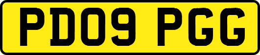 PD09PGG